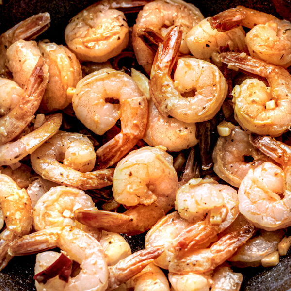 Shrimp